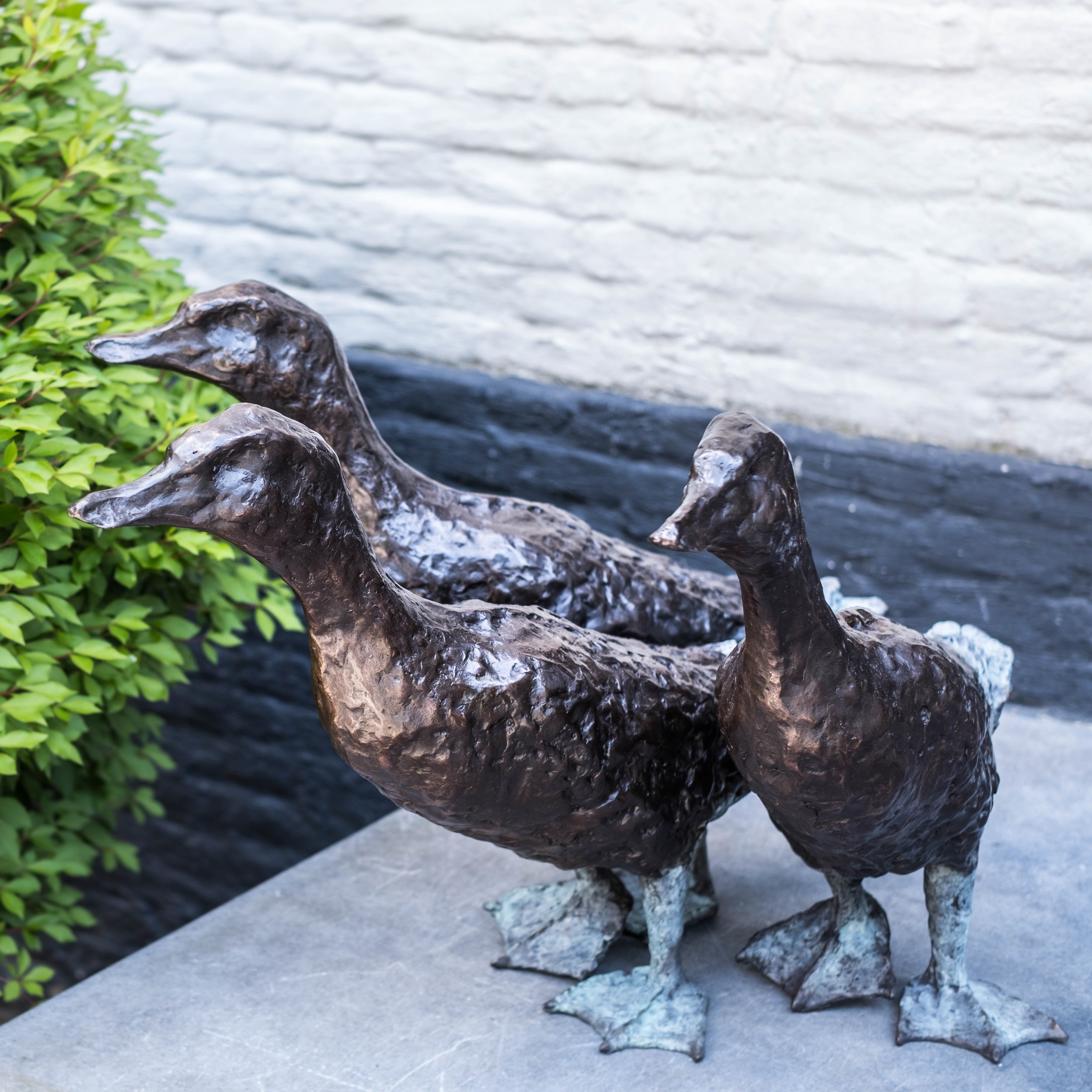 Jonneke Kodde
