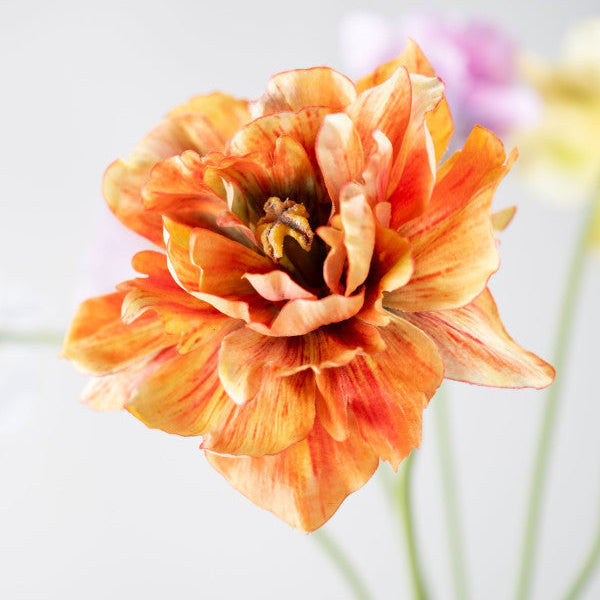 TULP STEEL ORANJE/BRUIN