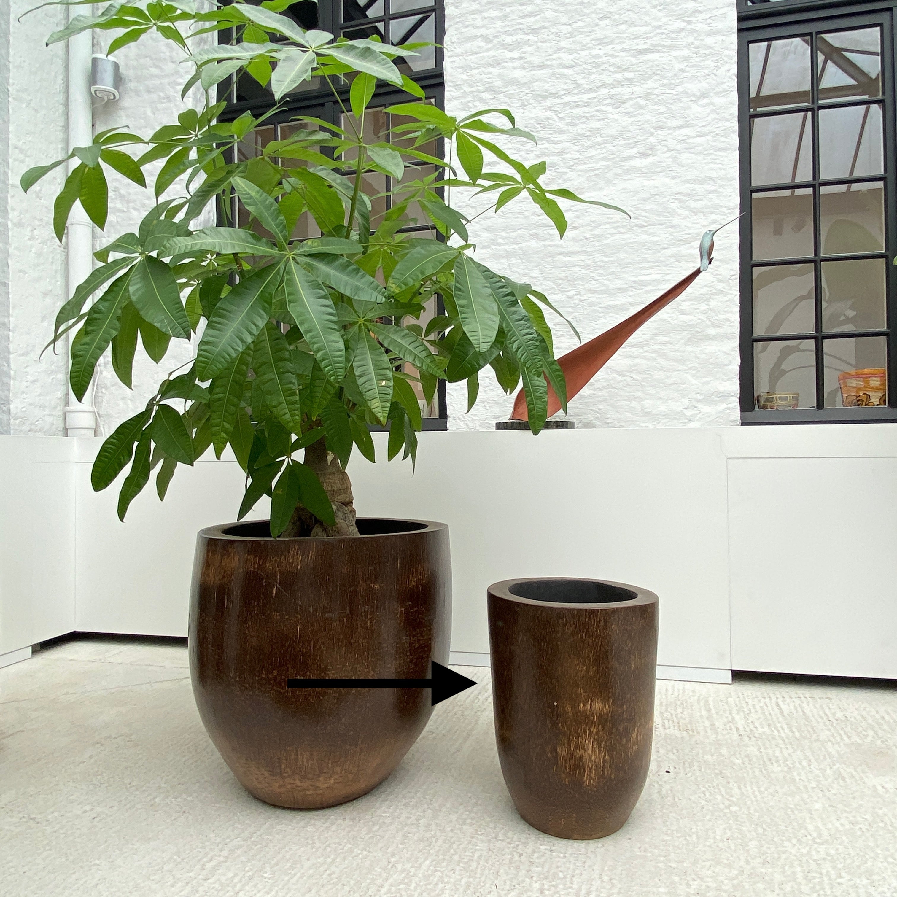 Warehouse Breit palm tree pot brown