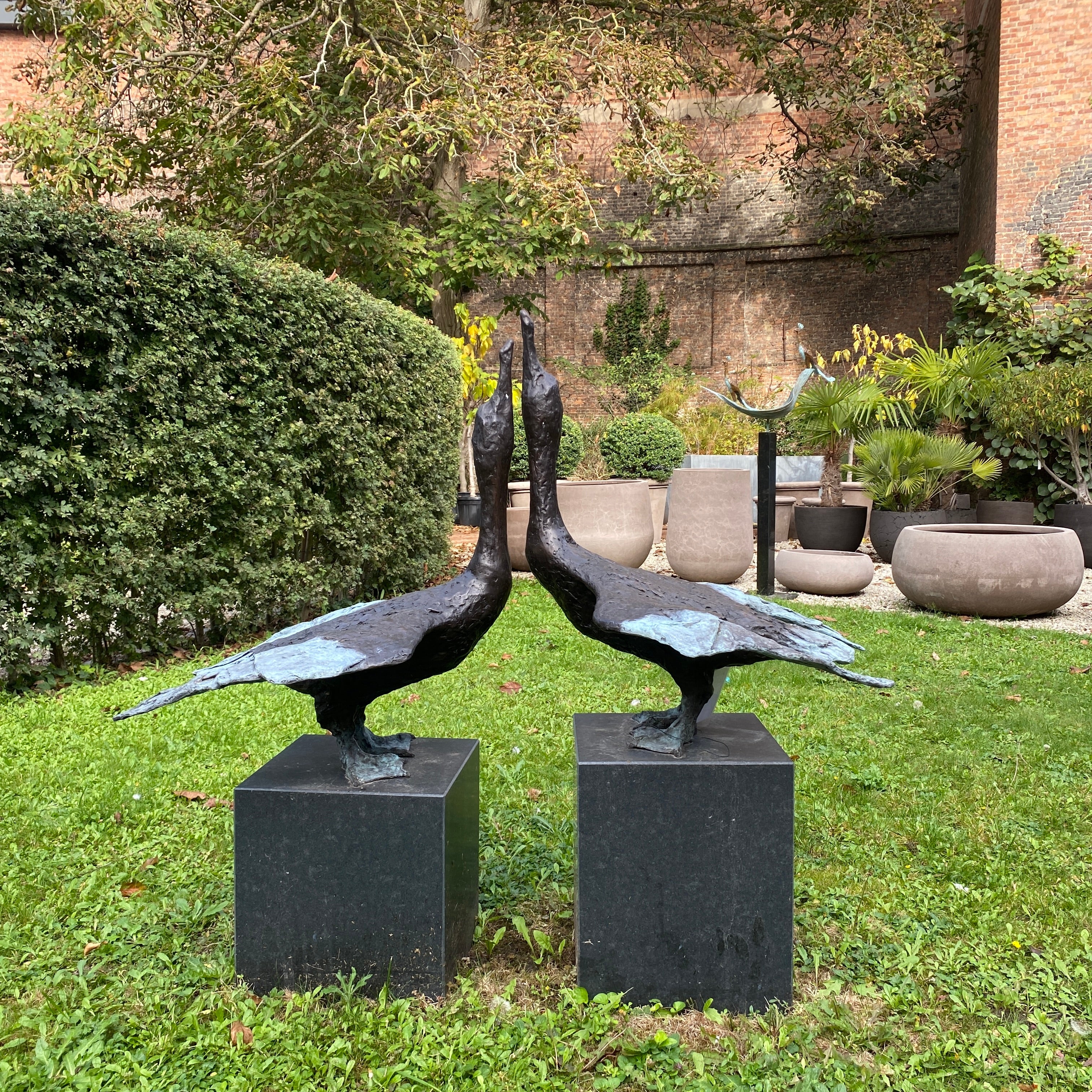 Jonneke Kodde - Contact, two Cormorants