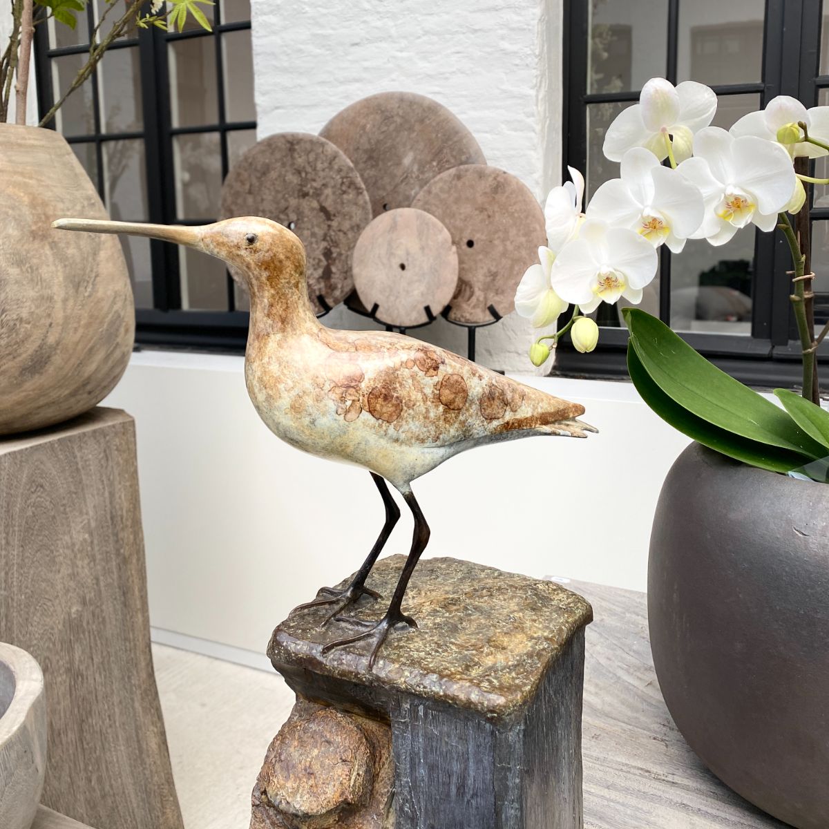 Mark Dedrie - Looking Forward Godwit