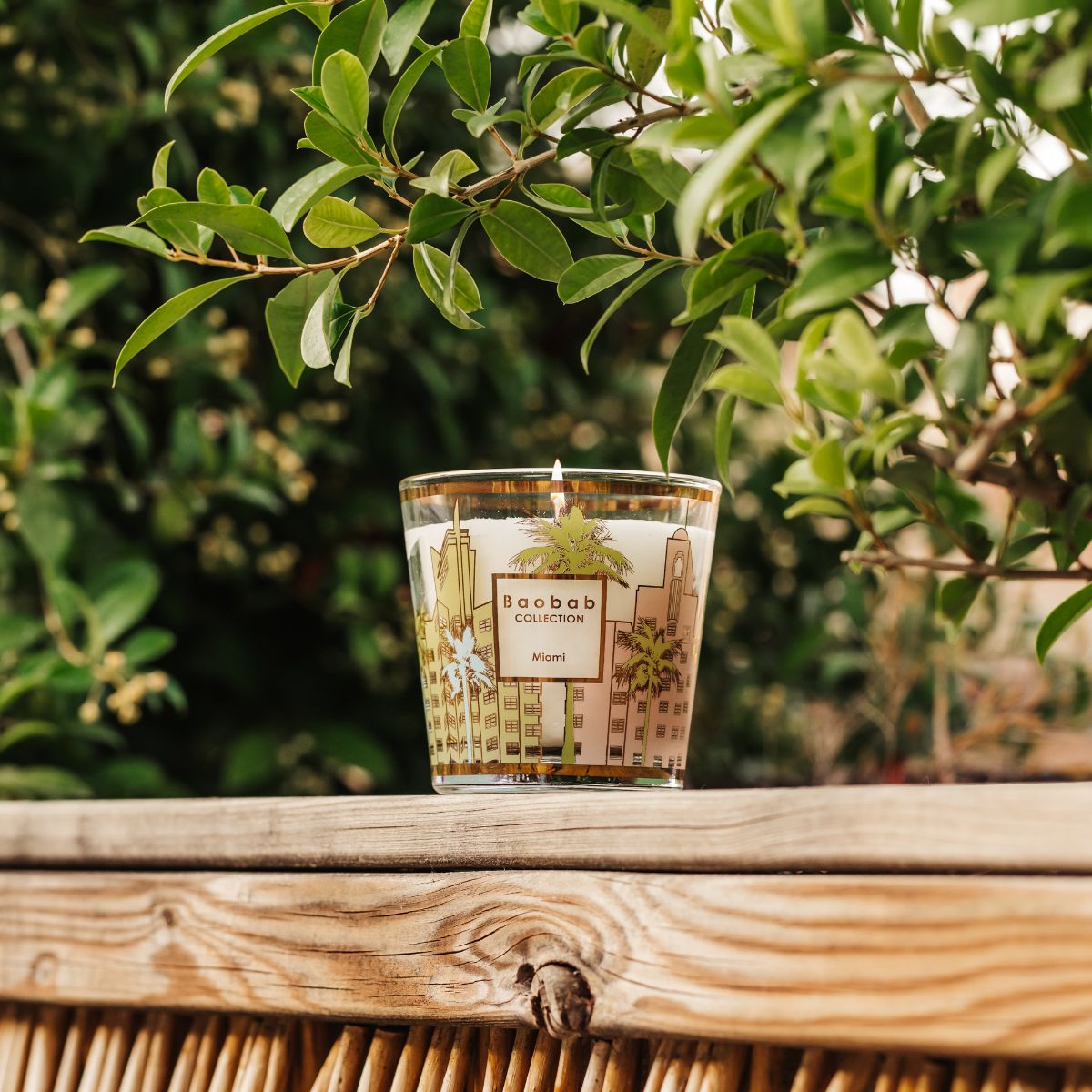 My First Baobab Scented Candle - Miami
