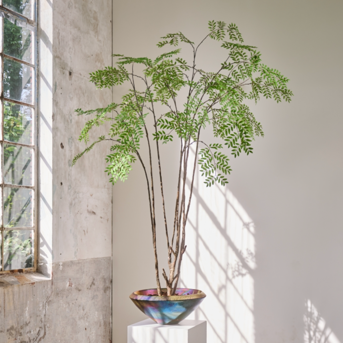 Silk-ka Zijden plant - Groene Boom 240cm