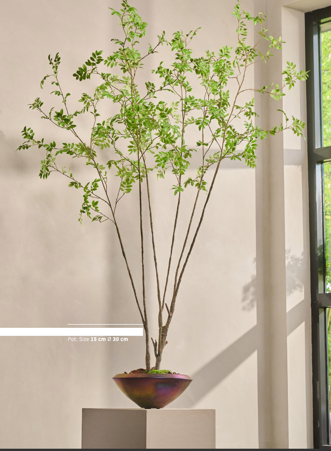 Silk-ka Zijden plant - Groene Boom 250cm
