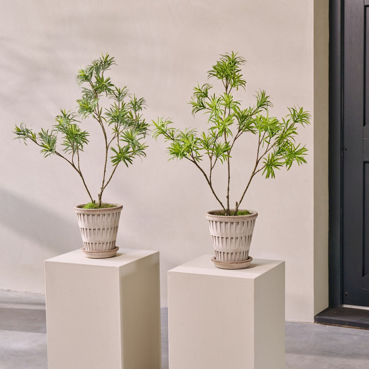 Silk-ka Silk plant - leaf branch Podocarpus green 89cm