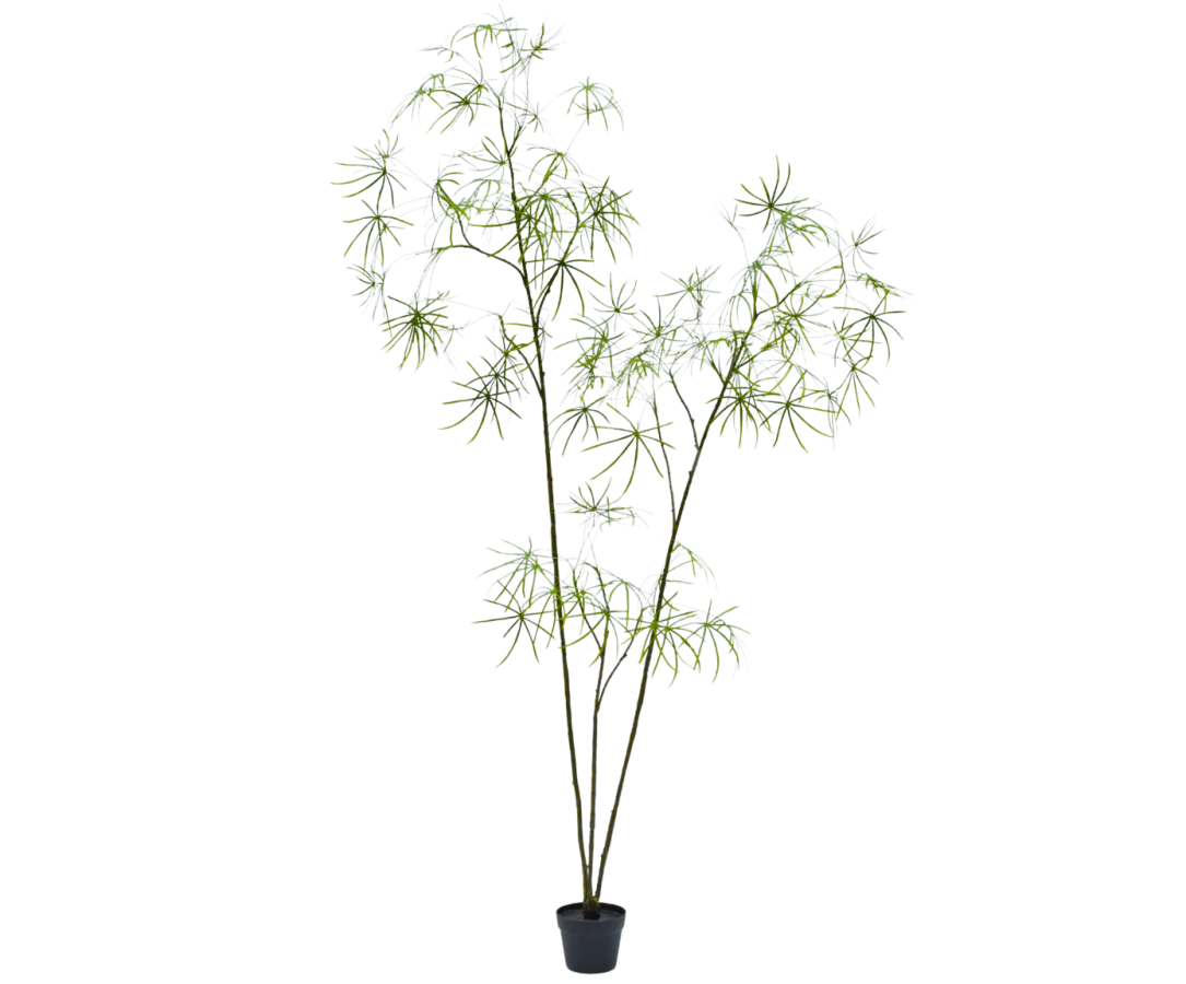 Silk-ka Zijden plant - Schefflera 3-tak 223cm