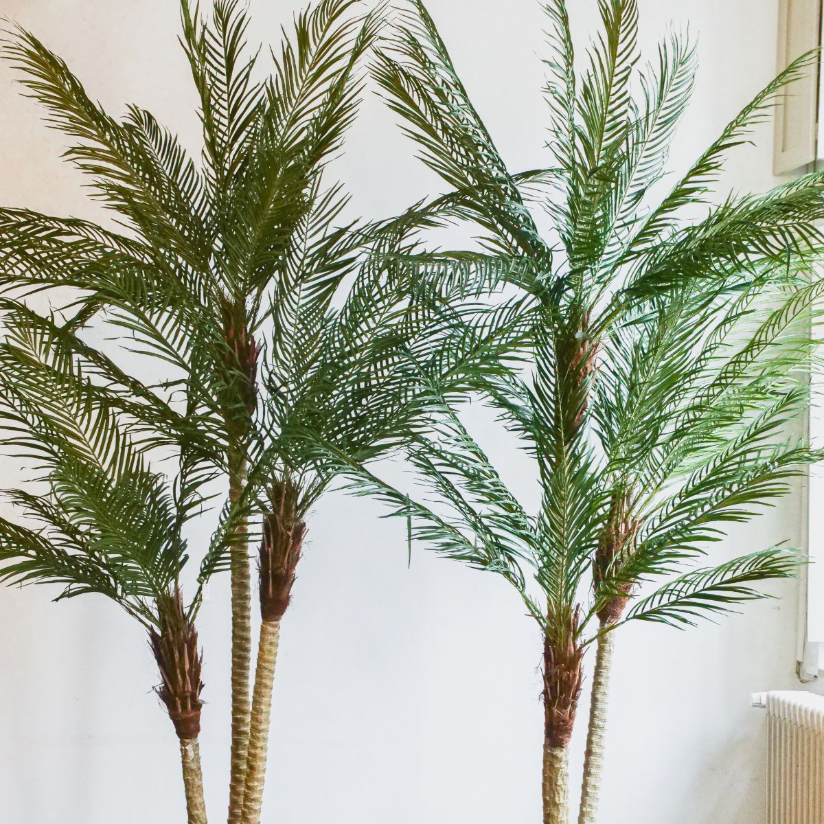 Silk-ka Zijden plant - Palm 183cm