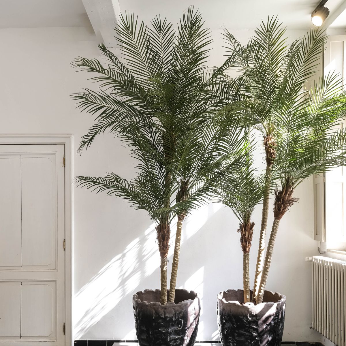Silk-ka Zijden plant - Palm 183cm