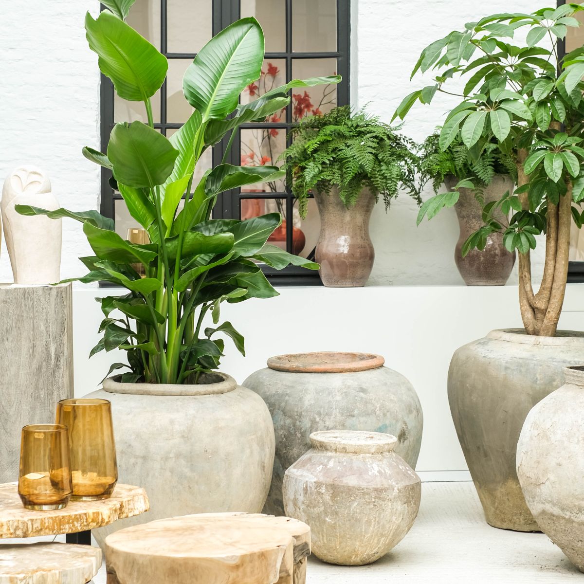 Magazijn breit Waterpot (L)