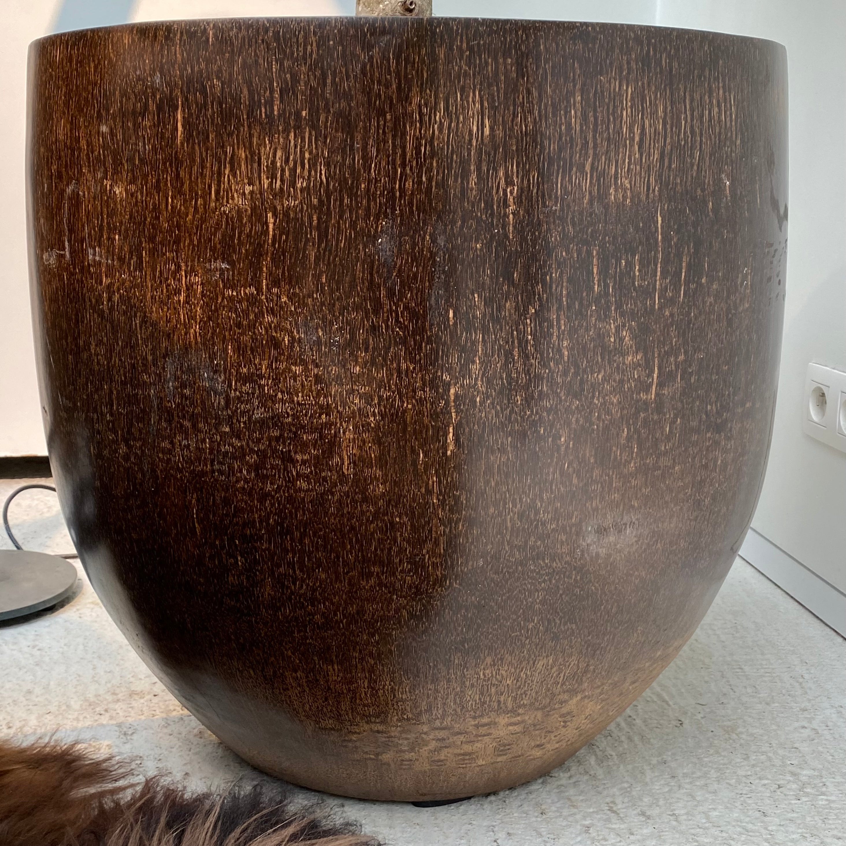 Warehouse Wide Palm Tree Pot Brown
