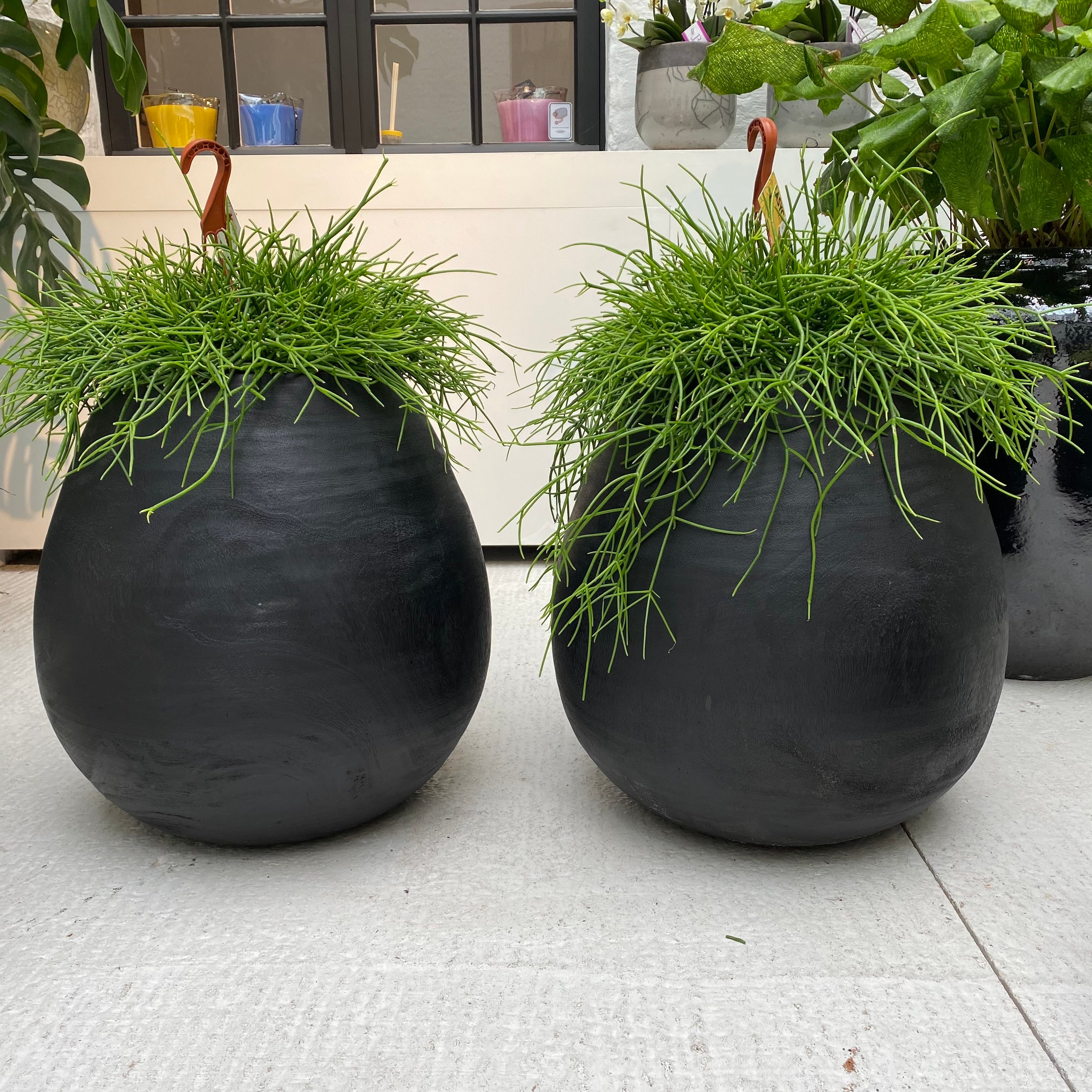 Warehouse Breit pot black suar wood
