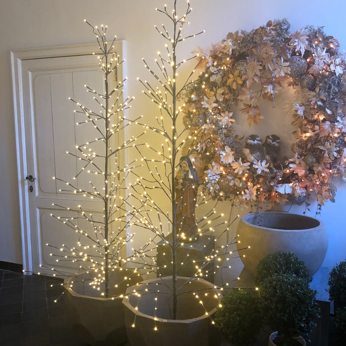 Takkenboompje met licht