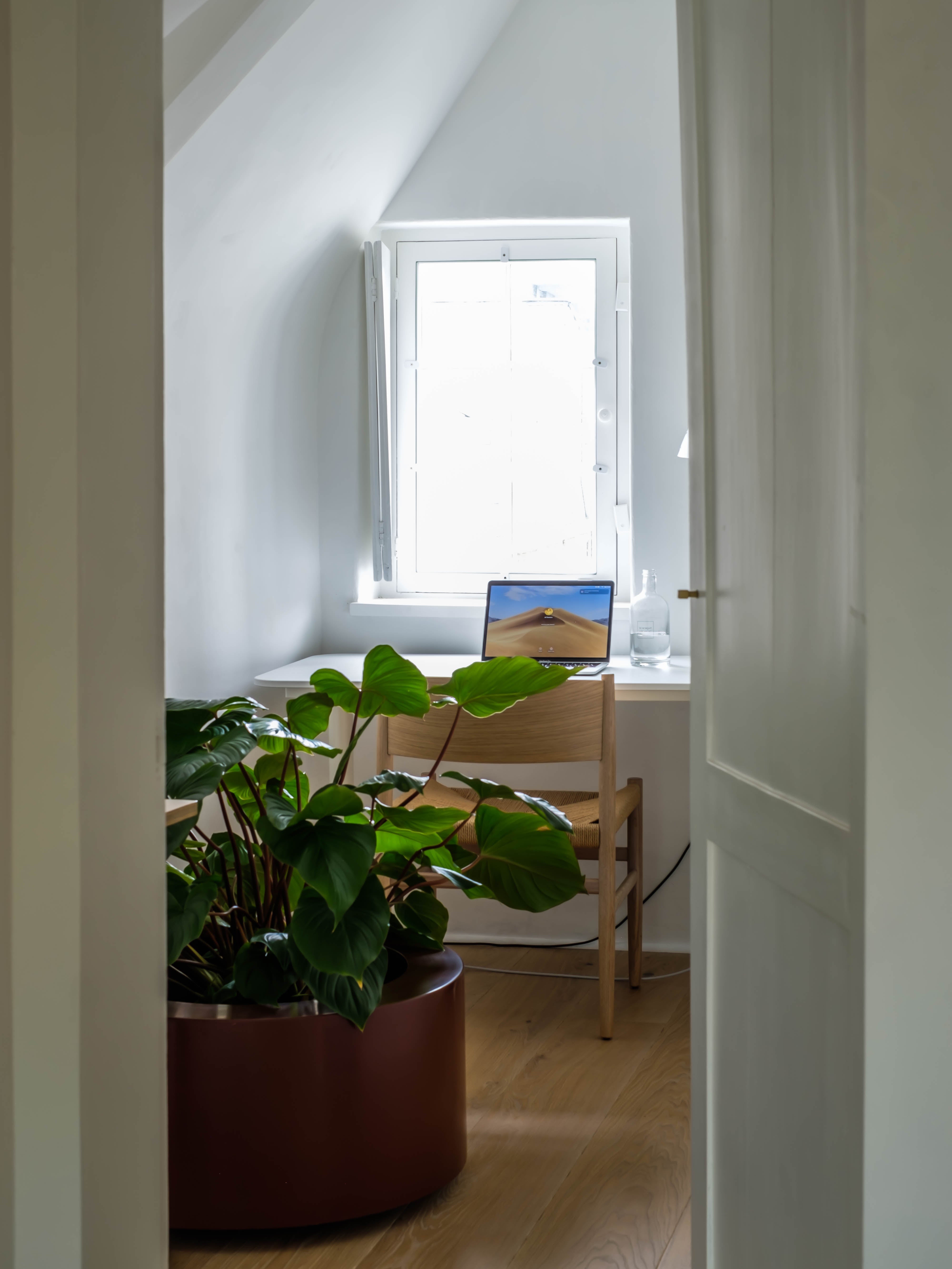 Onze nieuwe website is live!