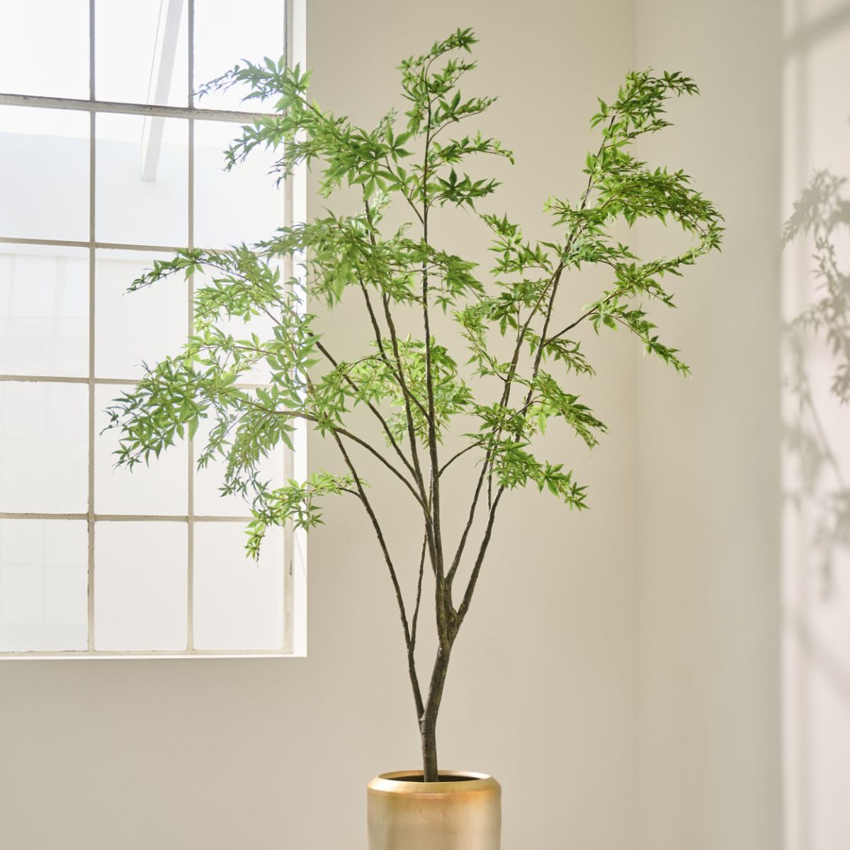 Silk-ka Zijden plant - Esdoorn Groen