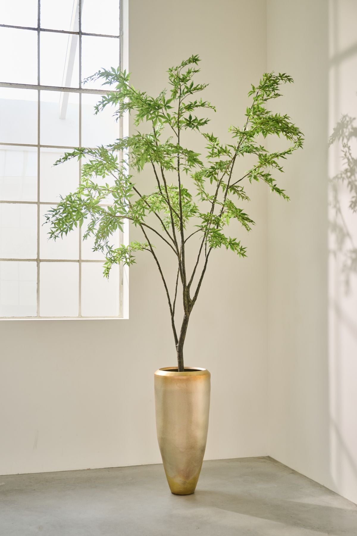 Silk-ka Zijden plant - Esdoorn Groen