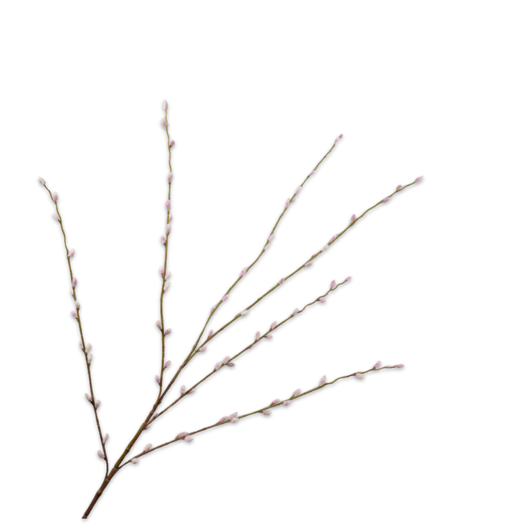 WILLOW BRANCH PINK