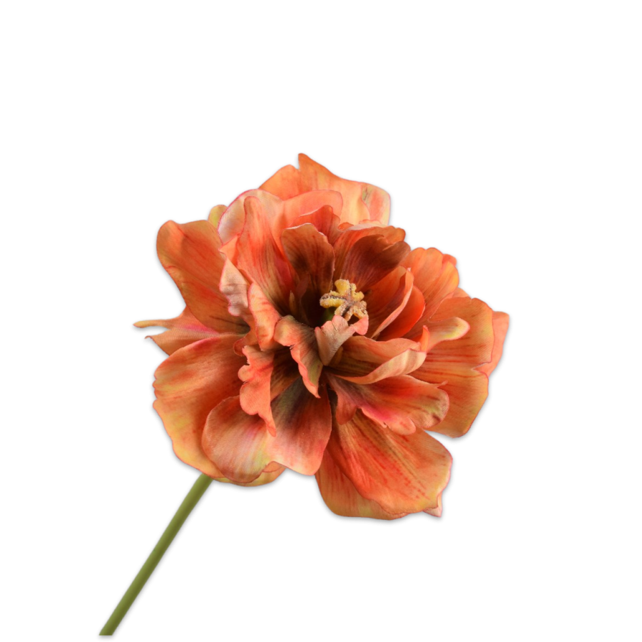TULIP STEEL ORANGE/BROWN