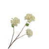SNEEUWBAL TAK CRÈME