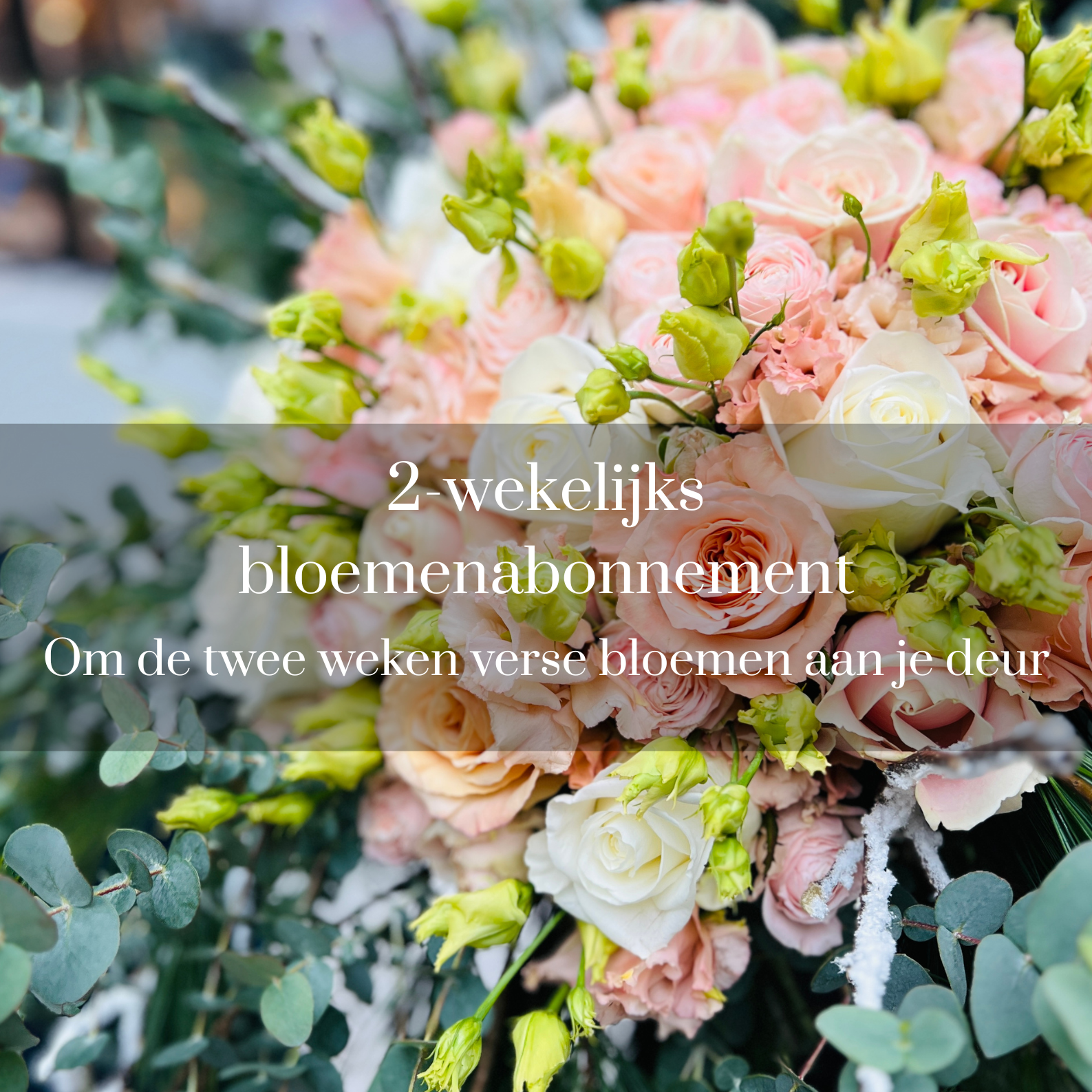 Fortnightly Flower Subscription