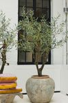 Silk-ka Zijden plant - Olijfboom