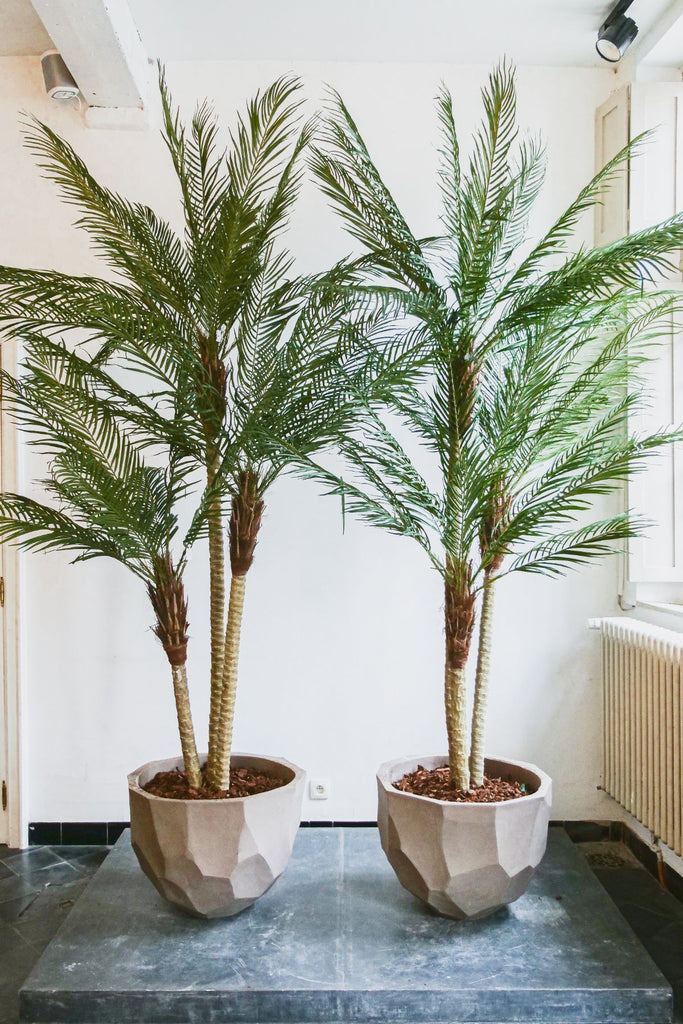 Silk-ka zijdeplanten Palm groen
