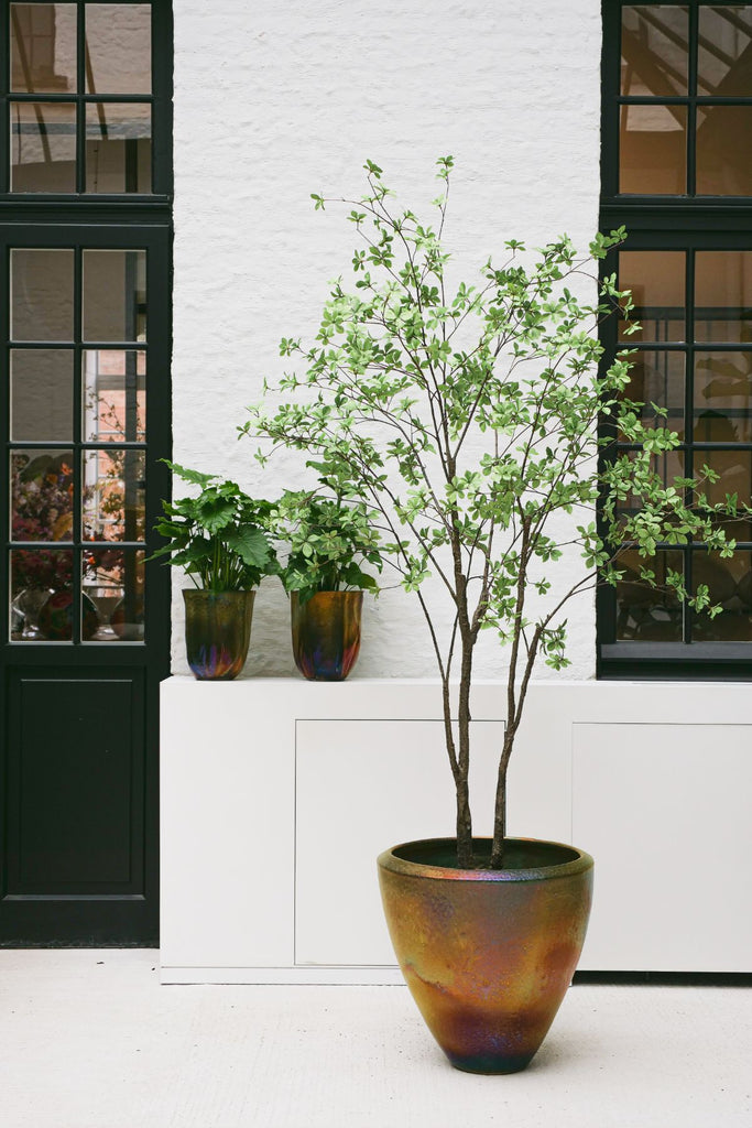 Silk-ka zijdeplant Acer groen