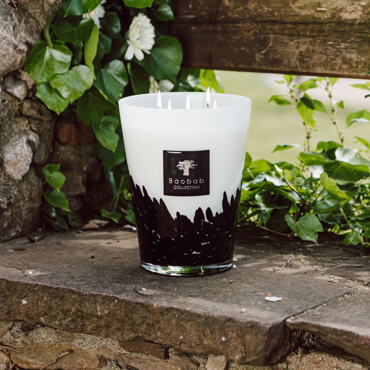 Baobab scented candle - Black Feathers