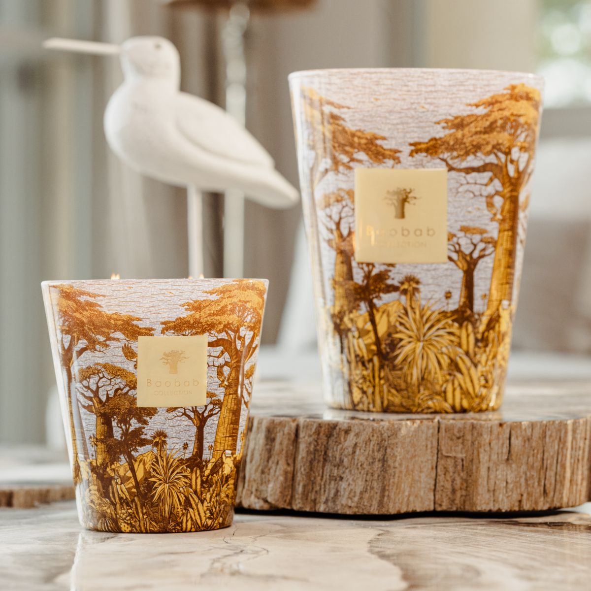 Baobab Scented Candle - Sacred Trees Summer Cocody