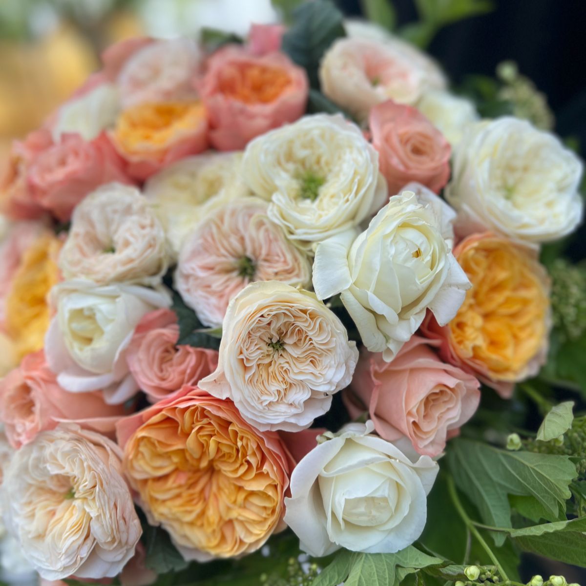Bouquet of roses