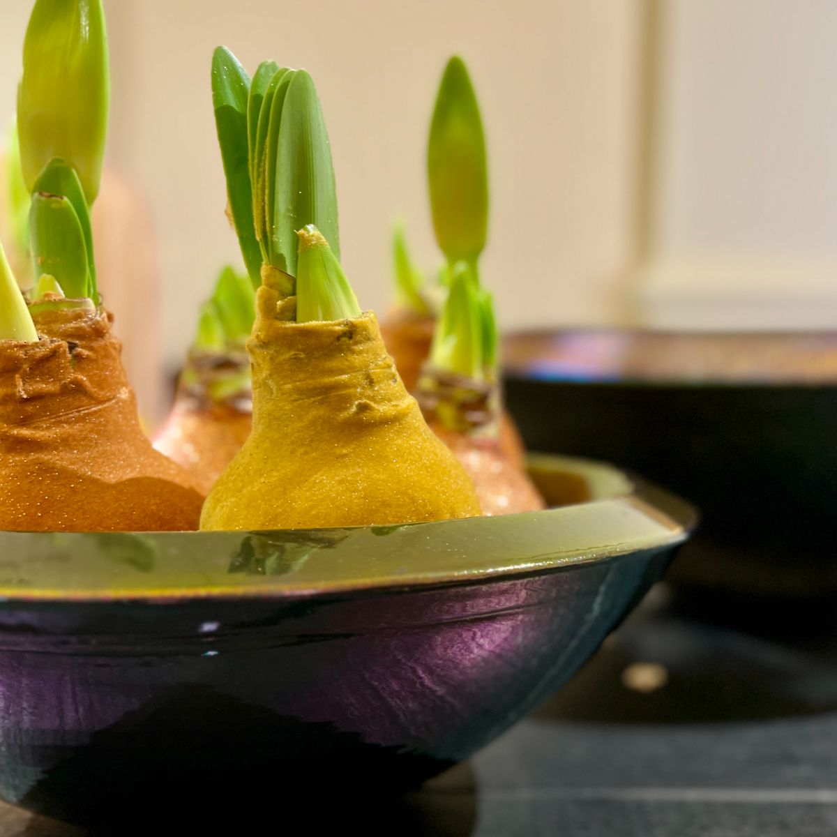 Mobach Bowl