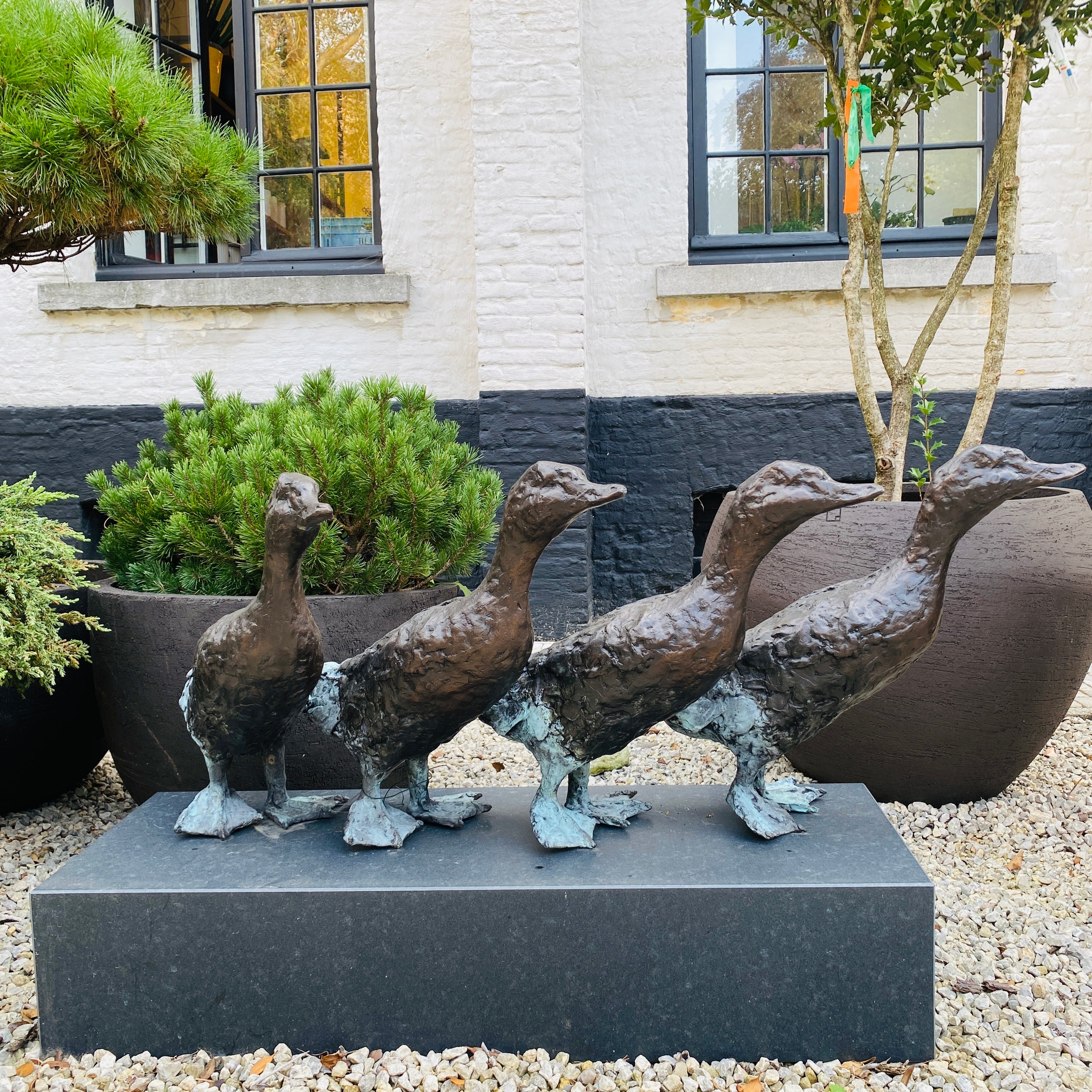 Jonneke Kodde - Four in a Row, Runner Ducks