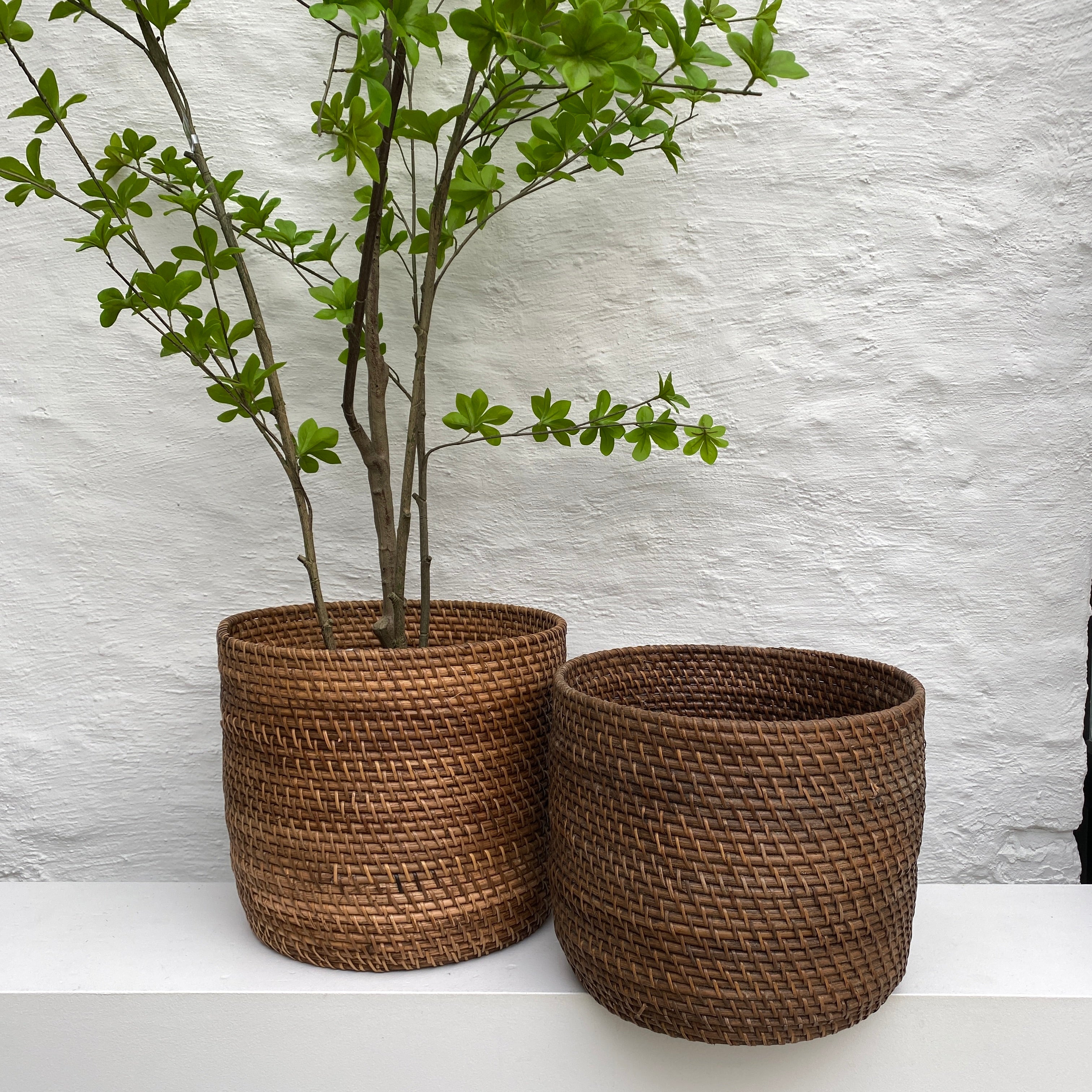 Warehouse Wide straight basket small