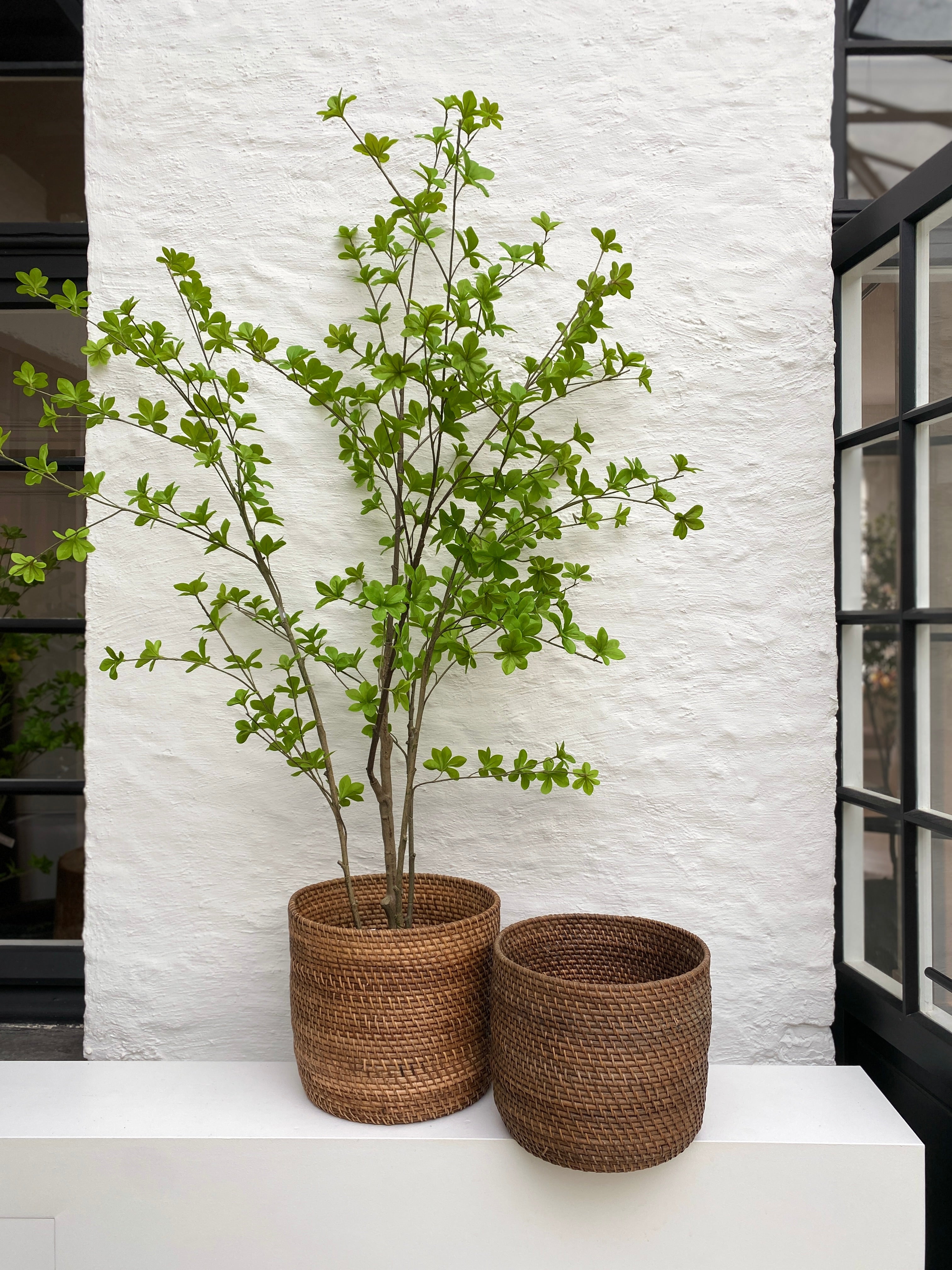 Silka Zijden plant - Boompje Groen