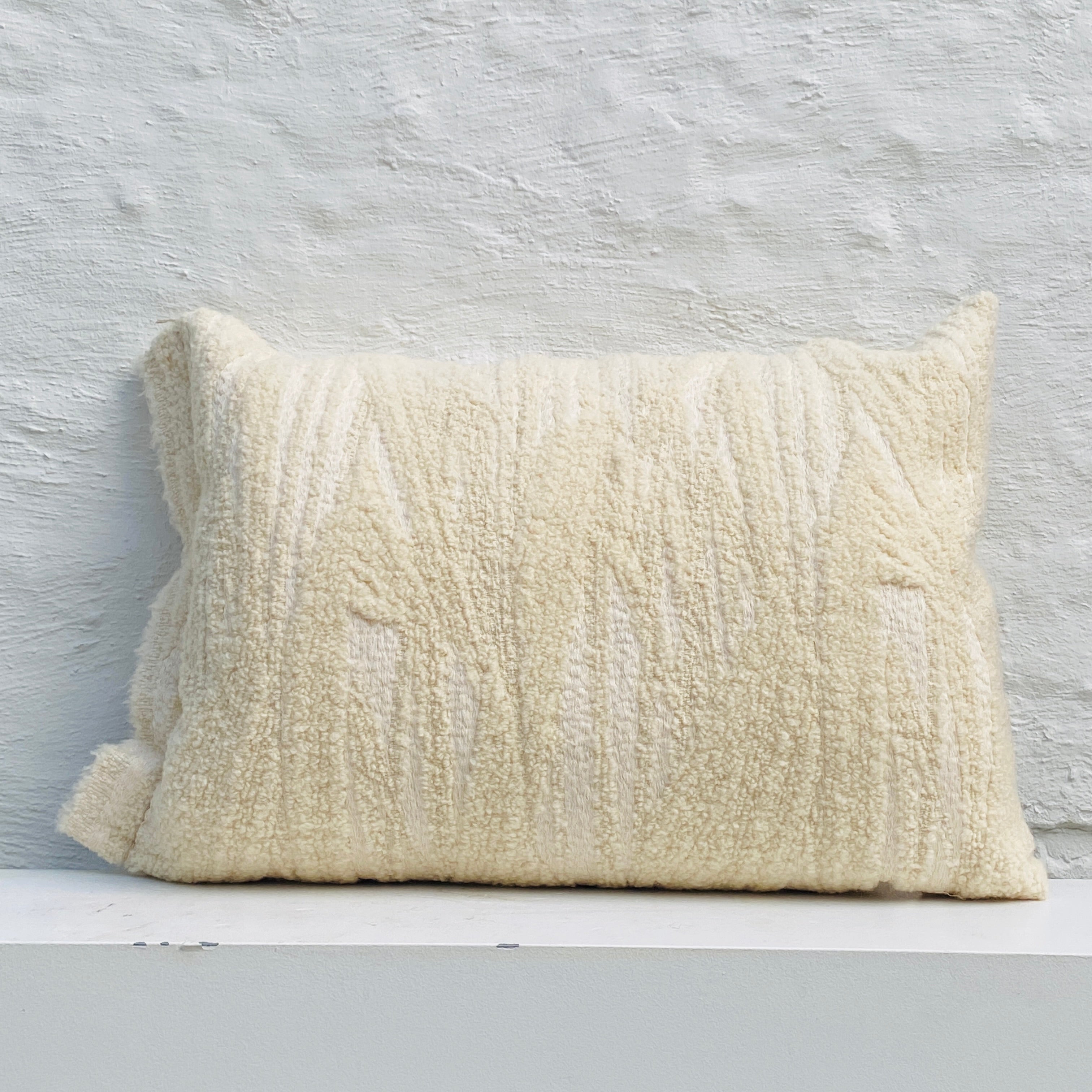 Limited Edition pillow BIPLEX, 60x40