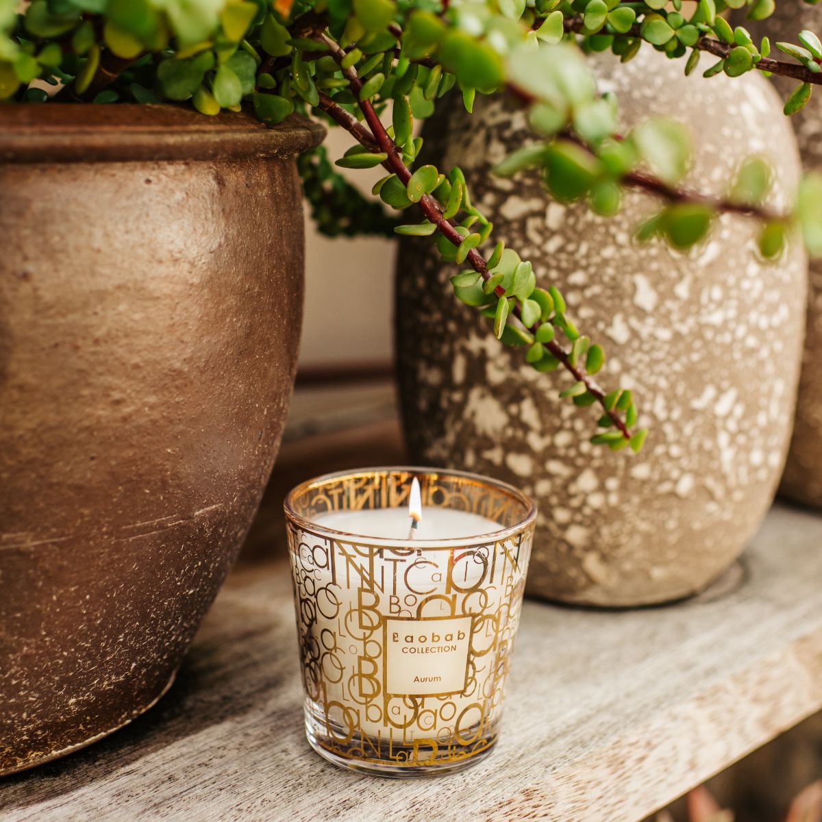 My First Baobab Scented Candle - Aurum