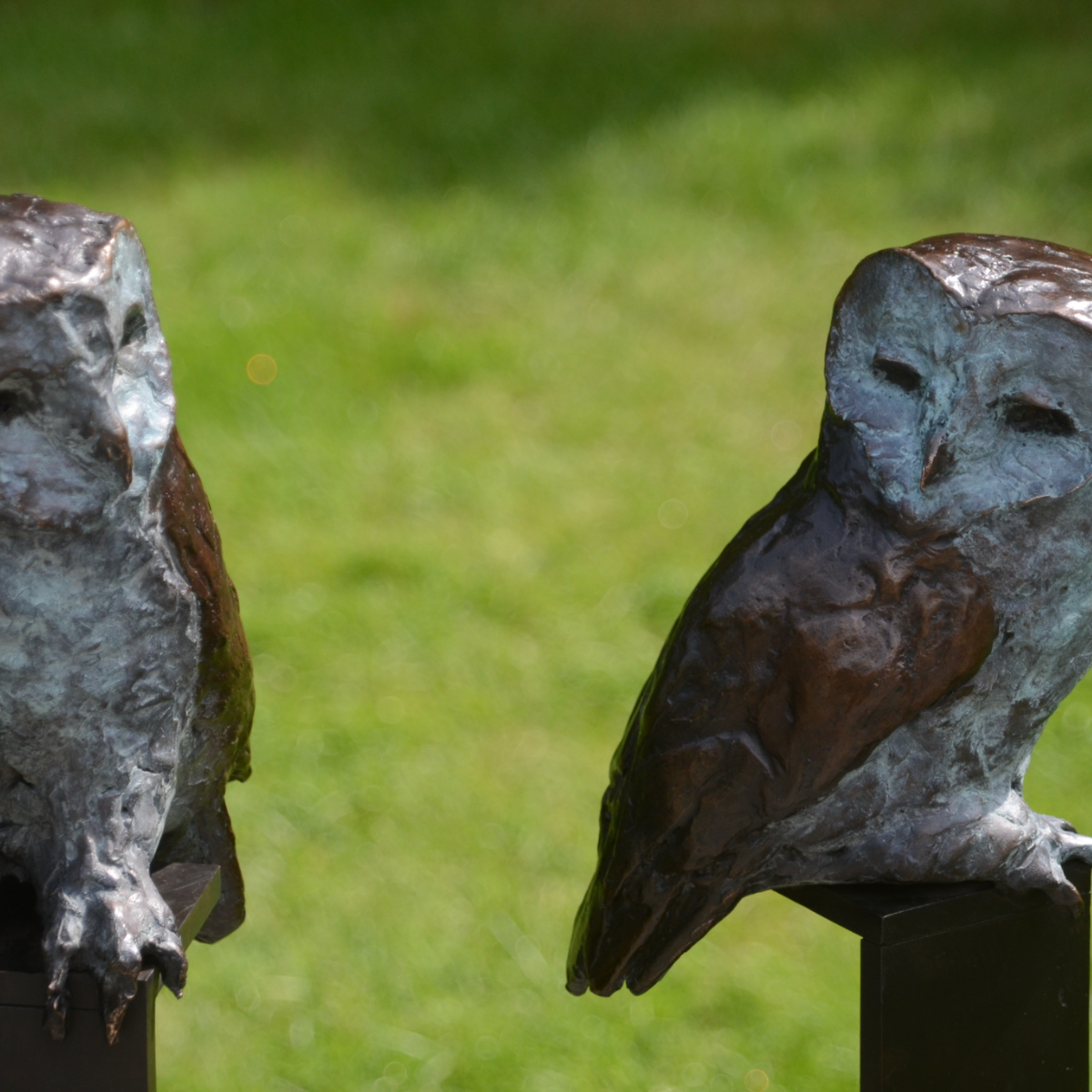 Jonneke Kodde - Two Tawny Owls