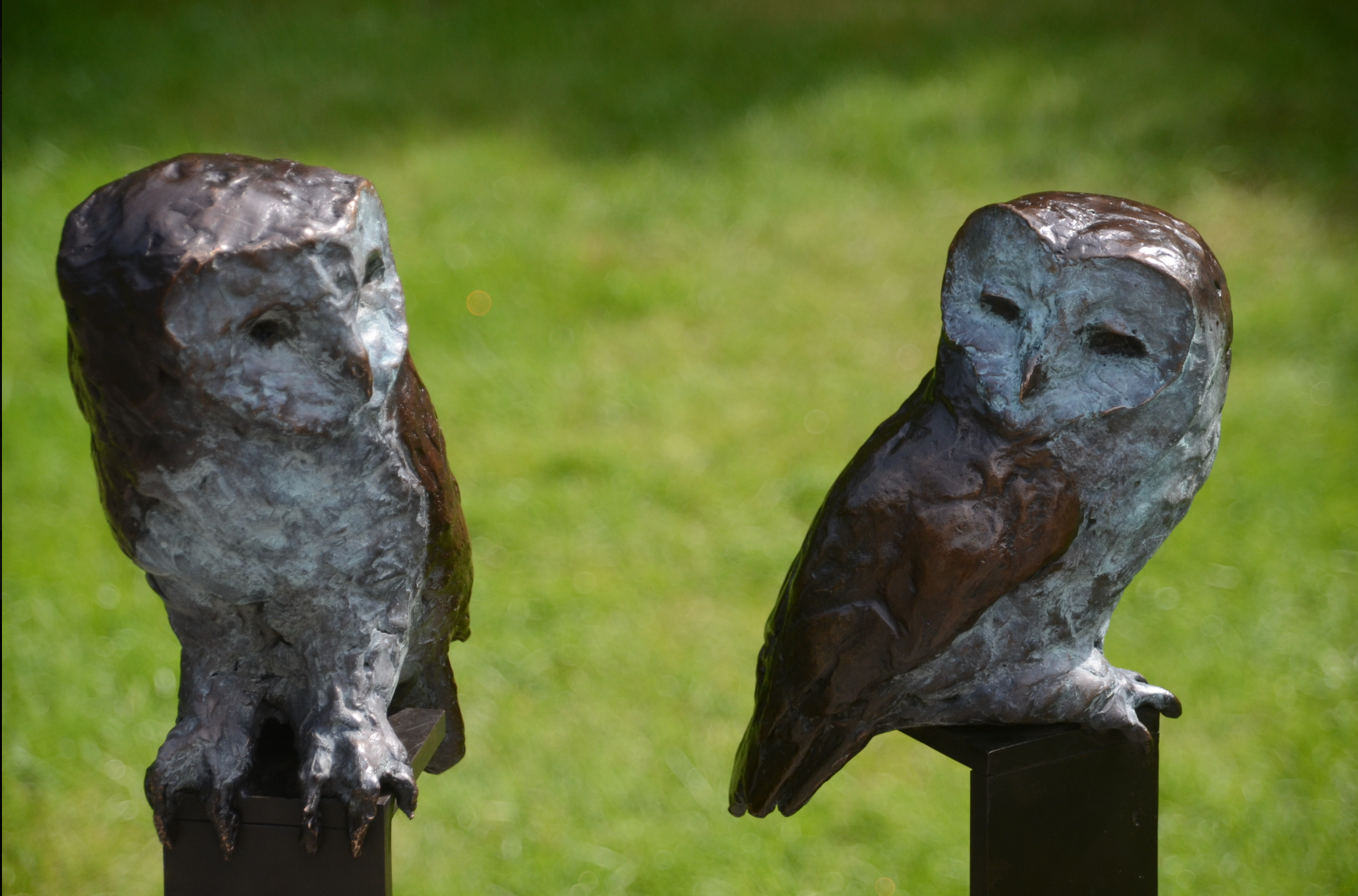 Jonneke Kodde - Two Tawny Owls