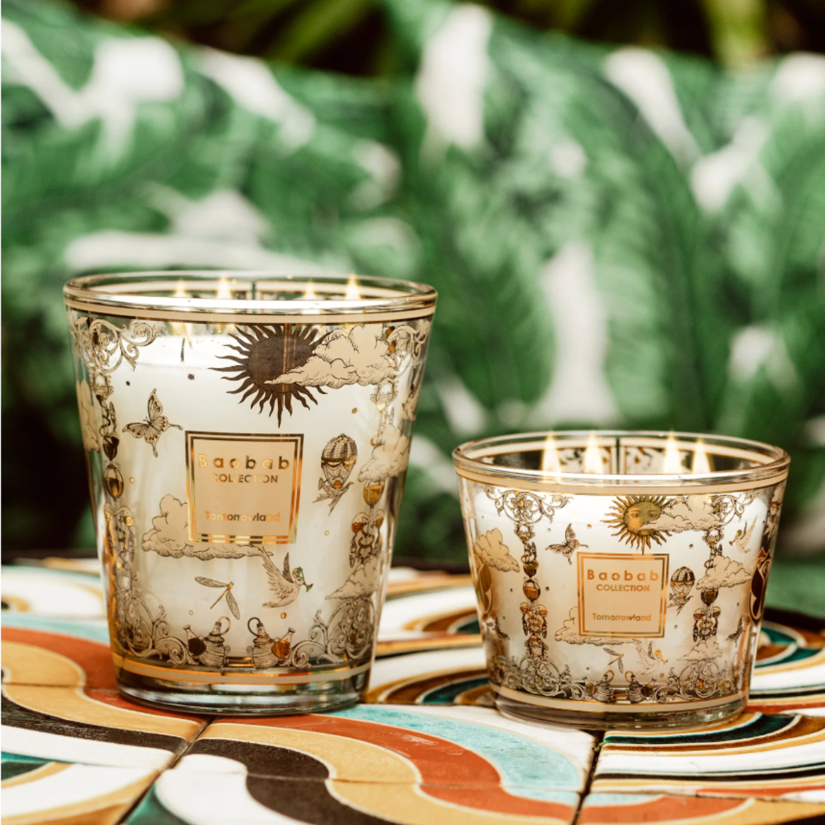 Baobab Scented Candle - Tomorrowland '25