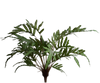 Silk-ka Zijden plant - Varen bush groen 112cm
