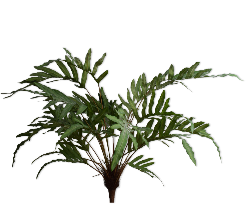 Silk-ka Silk plant - Fern bush green 112cm