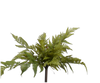 Silk-ka Zijden plant - Varen bush groen 56cm