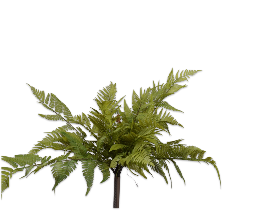 Silk-ka Silk plant - Fern bush green 56cm