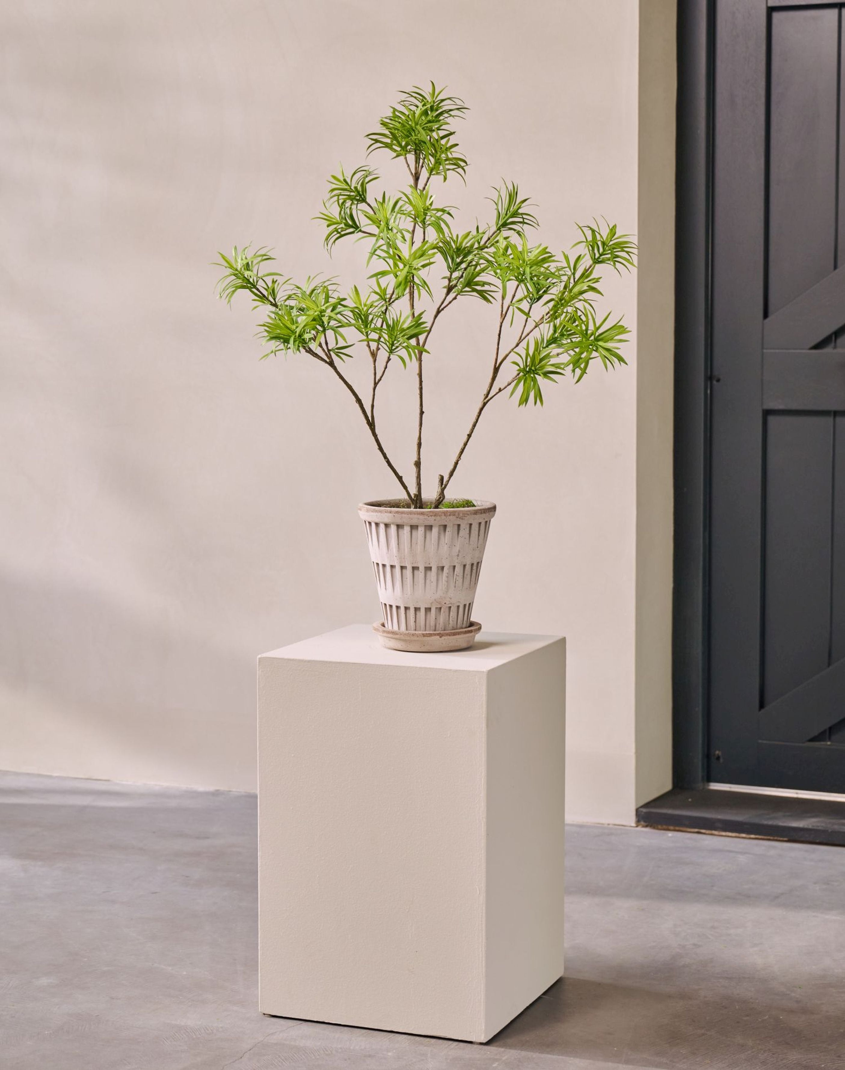 Silk-ka Zijden plant - bladtak Podocarpus groen 89cm
