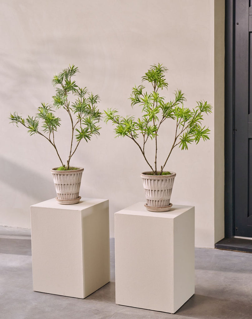 Silk-ka Zijden plant - bladtak Podocarpus groen 89cm