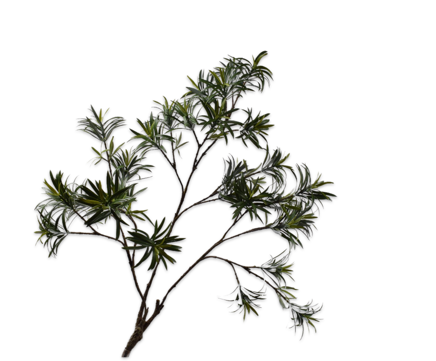 Silk-ka Zijden plant - bladtak Podocarpus donker groen 89cm