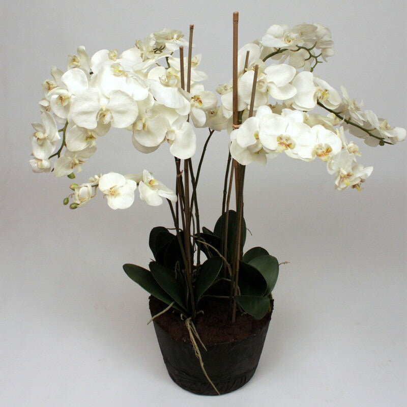 Silk-ka Plante artificielle - Acer Vert clair