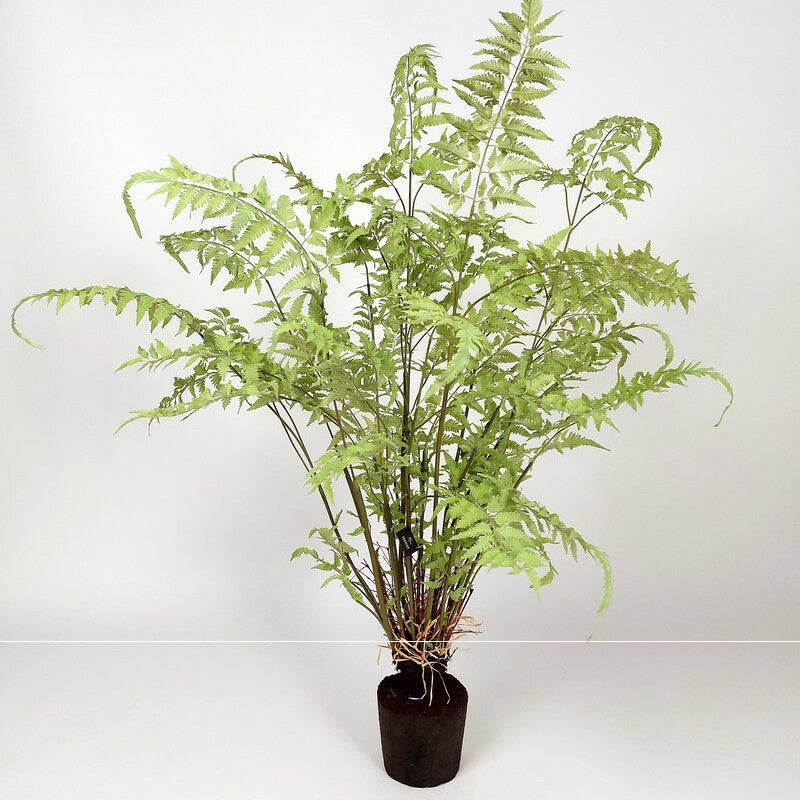 Silk-ka Plante artificielle - Acer Vert clair