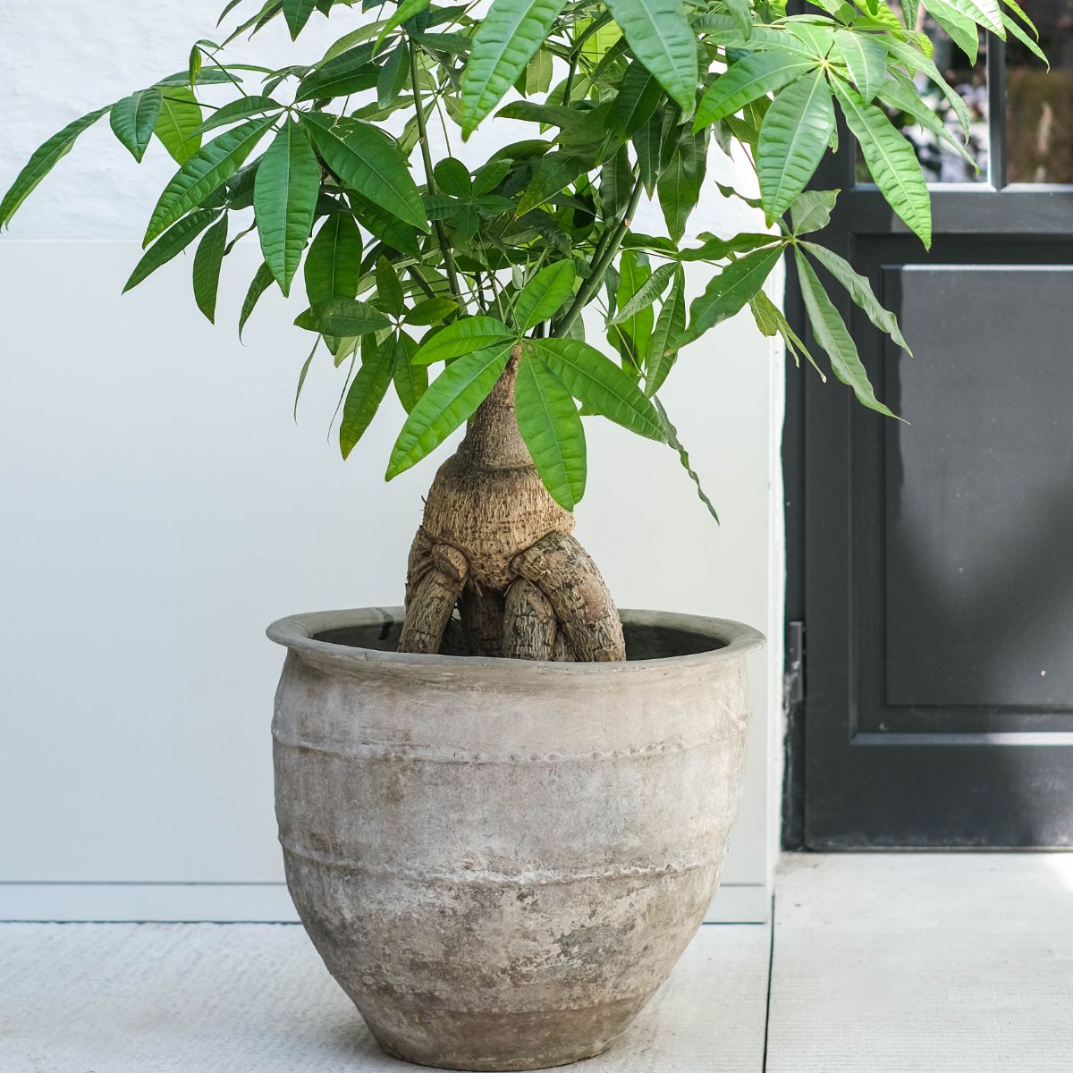 Warehouse Breit Waterpot (M)