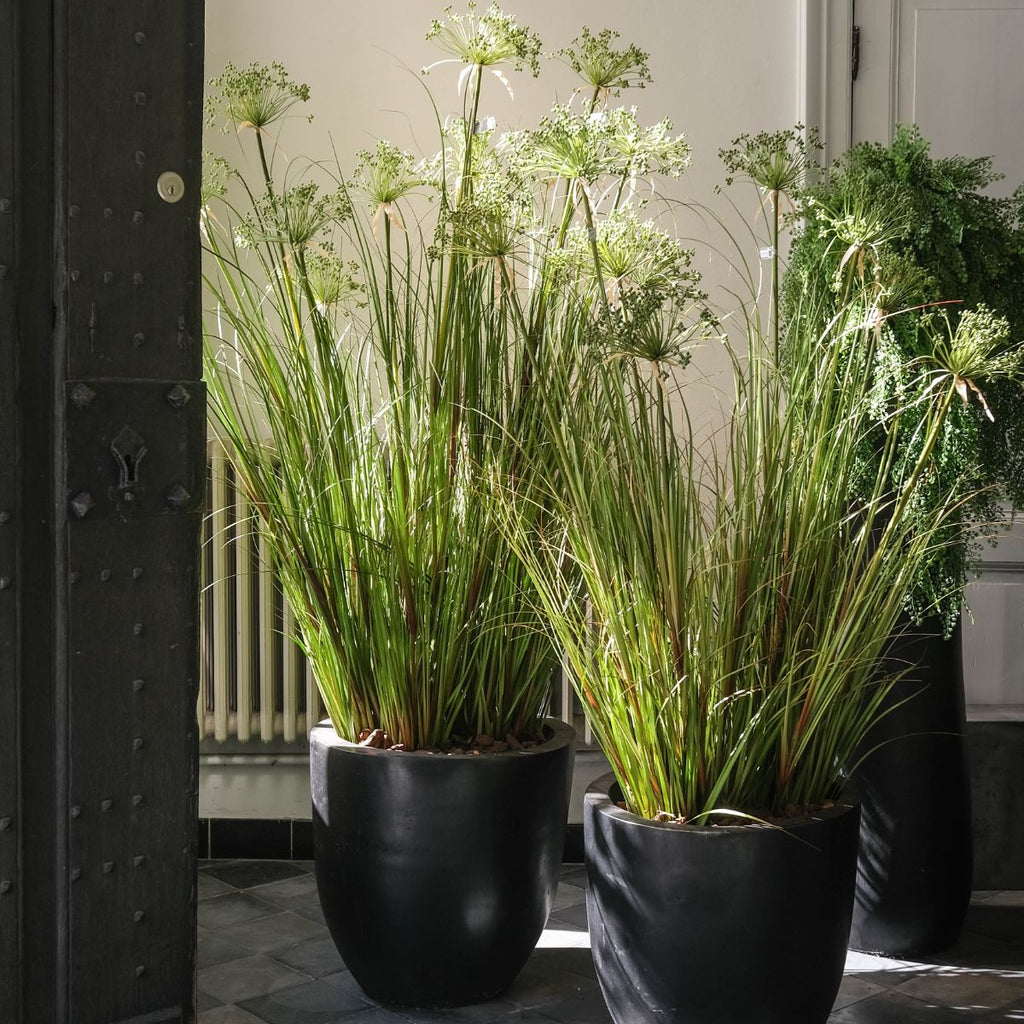 Silk-ka Papyrus plant groen
