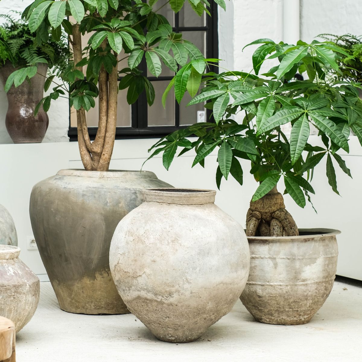 Warehouse Breit Waterpot (M)